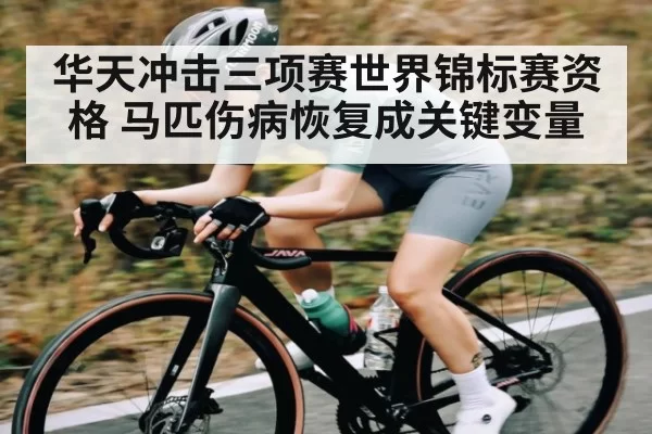 华天冲击三项赛世界锦标赛资格 马匹伤病恢复成关键变量